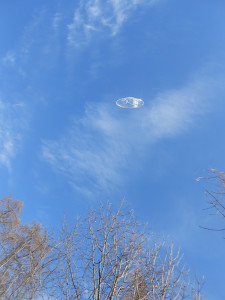 UNA FOTO SCATTATA IN VALMALENCO