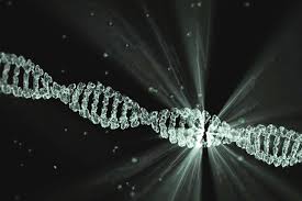 IL DNA DEGLI EMBRIONI È STATO MANIPOLATO CON LA TECNICA CRISPR