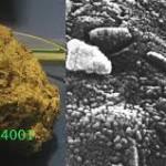 IL METEORITE MARZIANO AL CENTRO DI UNA LUNGA CONTROVERSIA