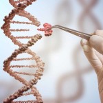 I NUCLEOTIDI COMPONGONO LA MOLECOLA DEL DNA