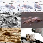 UN COLLAGE DI PRESUNTI INSETTI INDIVIDUATI SUL SUYOLO MARZIANO