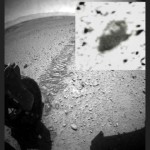 NELL'INGRANDIMENTO, QUELLO CHE L'ENTOMOLOGO RITIENE UN ARTROPODE EXTRATERRESTRE