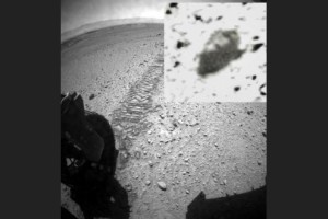 NELL'INGRANDIMENTO, QUELLO CHE L'ENTOMOLOGO RITIENE UN ARTROPODE EXTRATERRESTRE