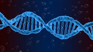 NEL NOSTRO DNA, SI NASCONDE LA STORIA DELLA NOSTRA EVOLUZIONE