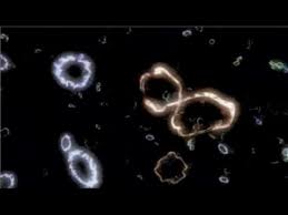 A DETERMINARE LA REALTÀ, IL DIVERSO MODO IN CUI LE STRINGHE VIBRANP