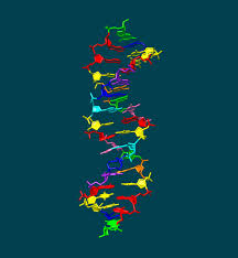 IL DNA HACHIMOJI CREATO IN LABORATORIO CON 8 BASI ANZICHÉ 4