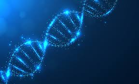 LA DOPPIA ELICA DI UN DNA TERRESTRE