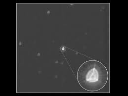 LA PRIMA IMMAGINE RIPRESA DAL SATELLITE EUROPEO