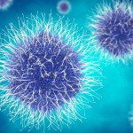 virus BLU