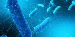 ALCUNI BATTERI POSSONO SOPRAVVIVERE A CONDIZONI ESTREME