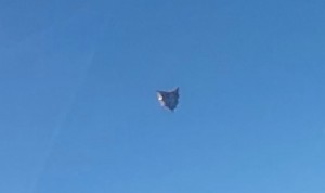 UN ALTRO VELIVOLO SCONOSCIUTO, FOTOGRAFATO DA UN PILOTA MILITARE USA