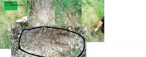 I CARABINIERI FORESTALI DURANTE UN SOPRALLUOGO